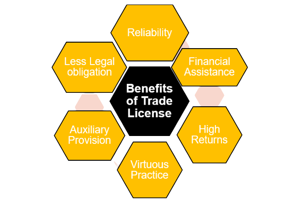 Trade License – Cognizant Advisors